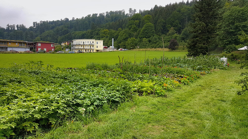Gemüseacker Talhof Heidenheim